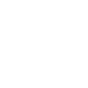 wedding Icon